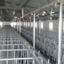 广州养猪场钢结构 造价